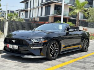 Abu Dhabi City Tour By Convertible Ford Mustang