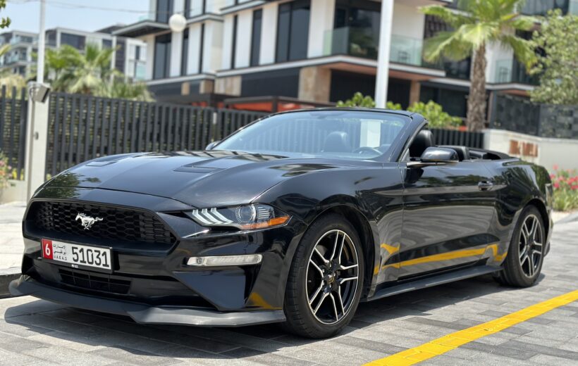 Abu Dhabi City Tour By Convertible Ford Mustang