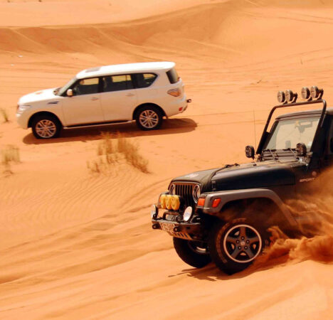 desert safari tour dubai - FlashDubai.com